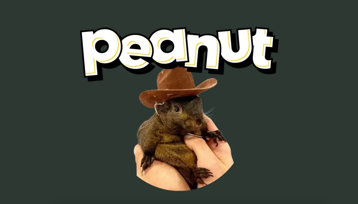 peanut meme coin
