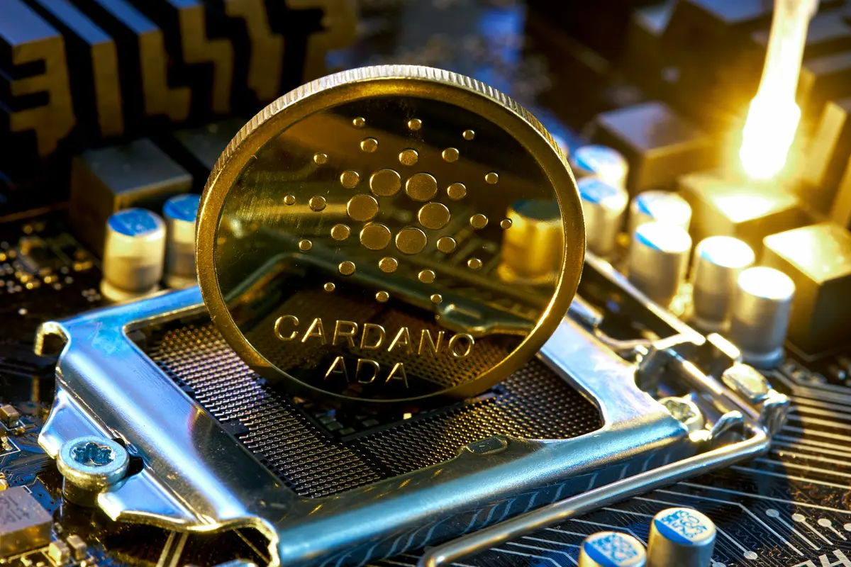 cardano