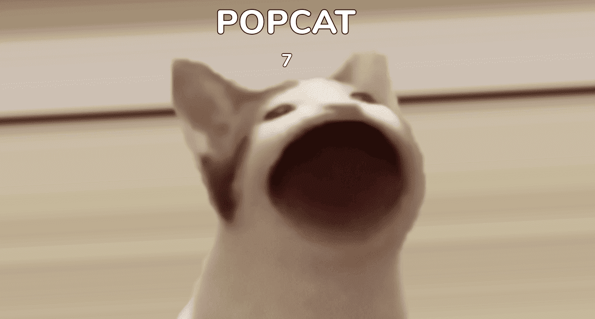popcat shitcoin
