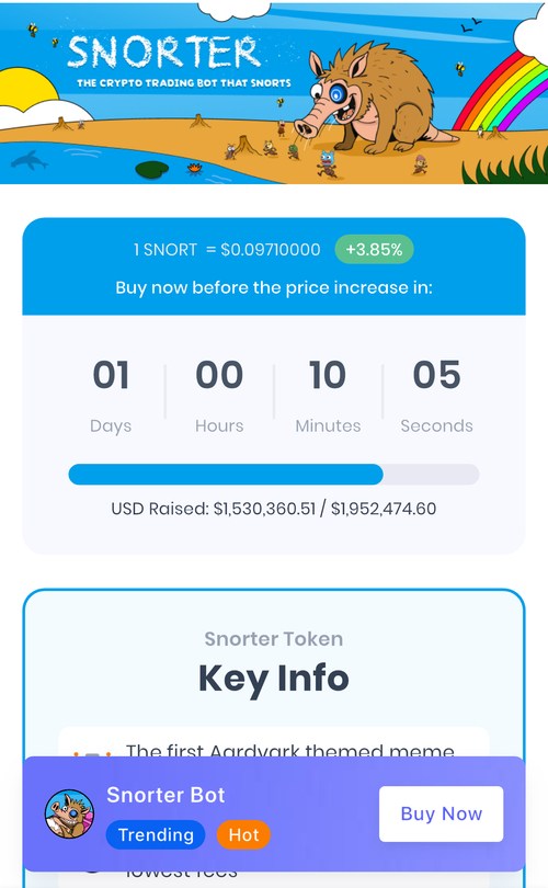 solana meme coin