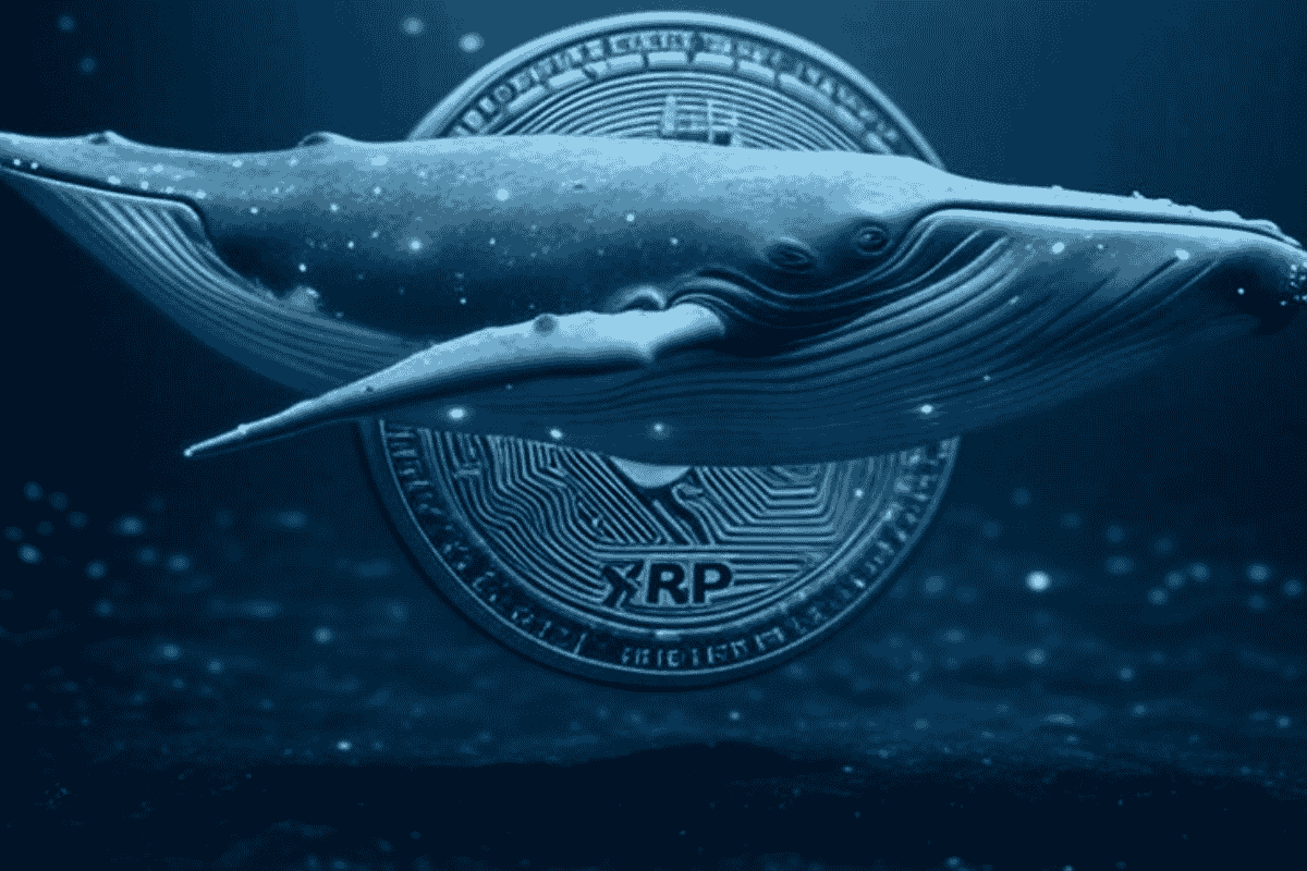 วาฬ XRP โอน 50 ล้านเข้า Coinbase จับตาราคาทะลุแนวต้านรอบใหม่!