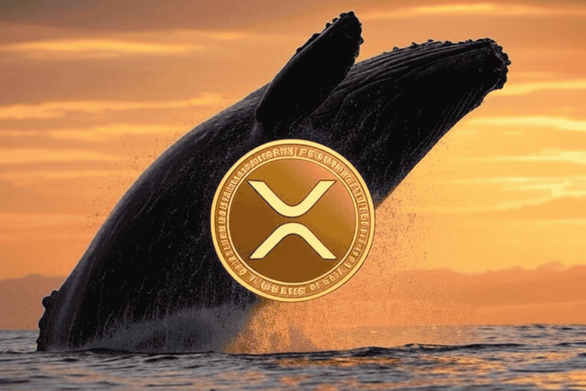 XRP กำลังมา! Brandt จับตากราฟเทคนิค ชี้โอกาสแตะ $4