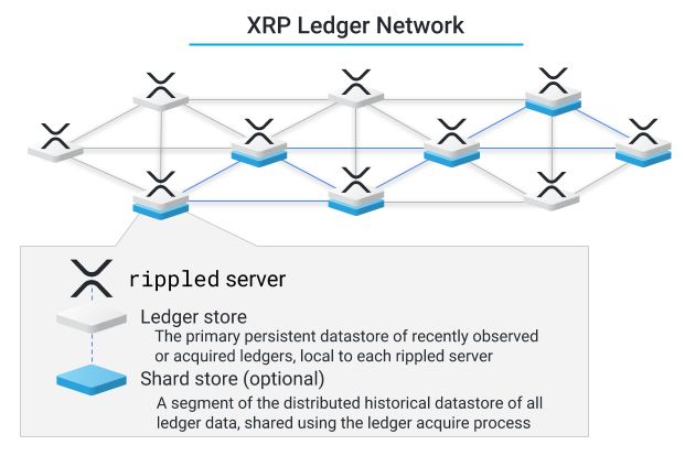 xrp ledger
