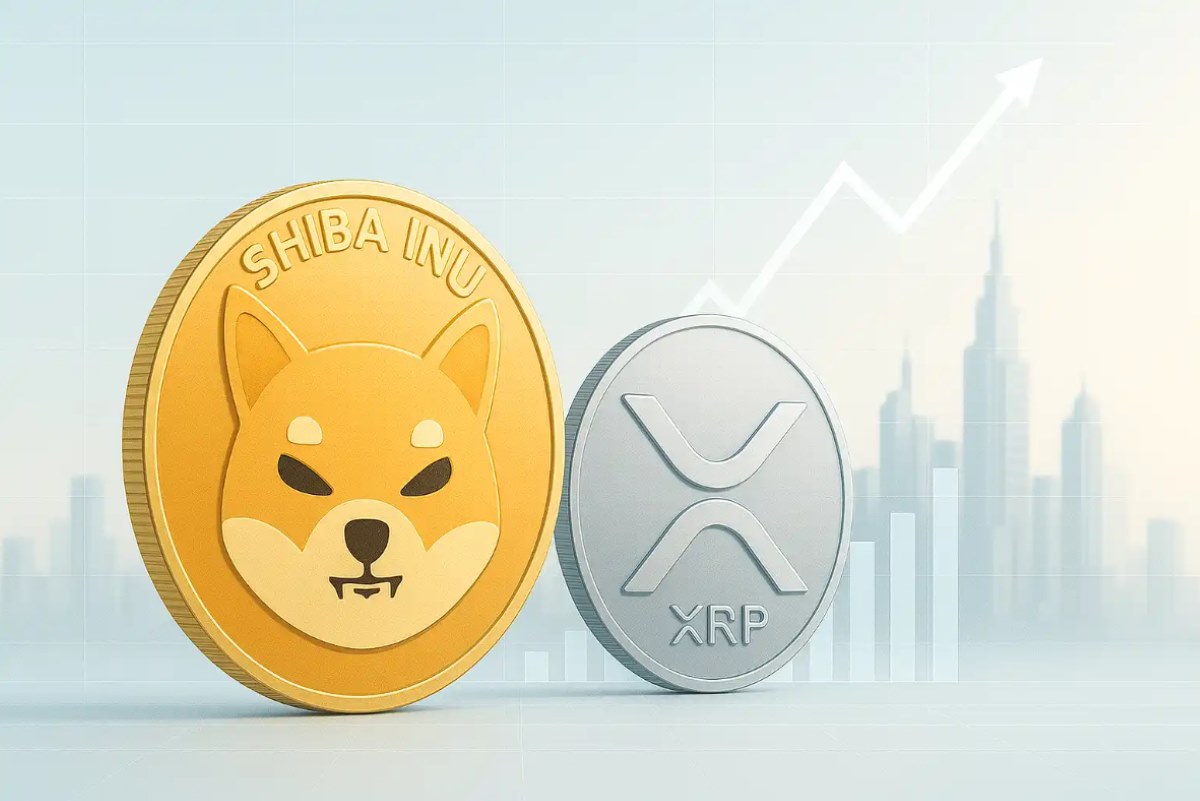 Shiba Inu XRP’nin Piyasa Değeriyle Ne Kadar Yükselebilir?
