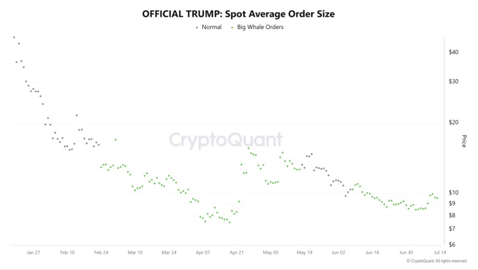 Official Trump Grafik
