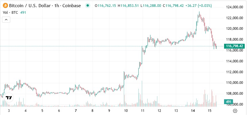 Bitcoin Fiyatı
