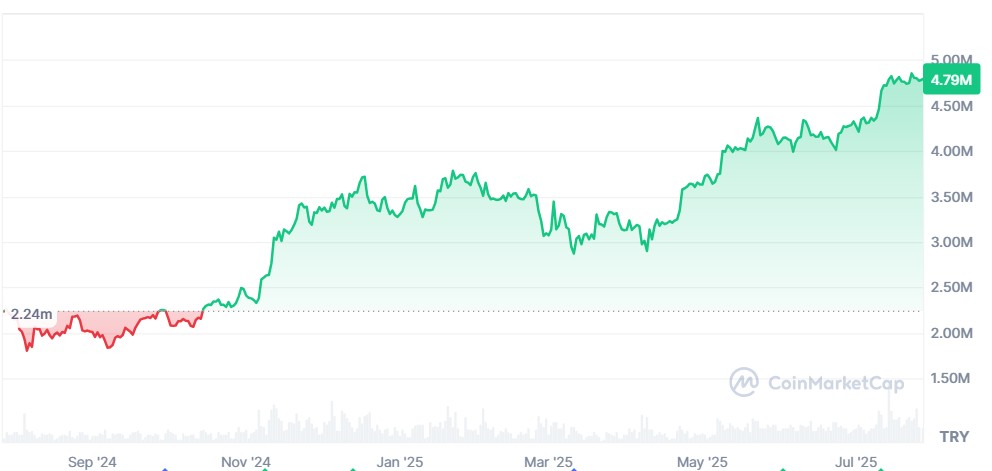 BTC Fiyat Grafiği