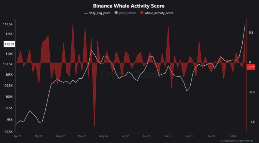 Binance Balina Aktivitesi