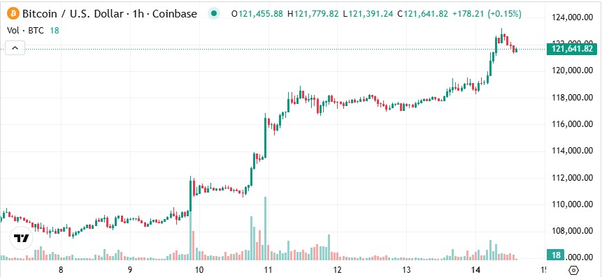 Bitcoin Grafiği