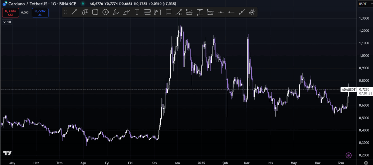 ada coin geleceği