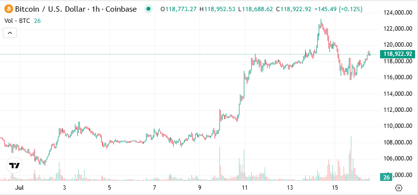 Bitcoin Grafiği