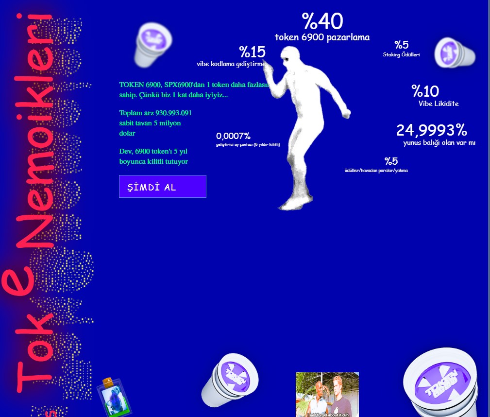 Token6900 Tokenomikleri