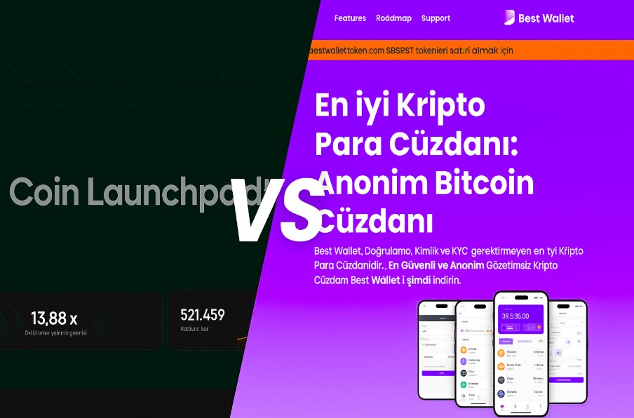 Ape Terminal Best Wallet Karşılaştırması