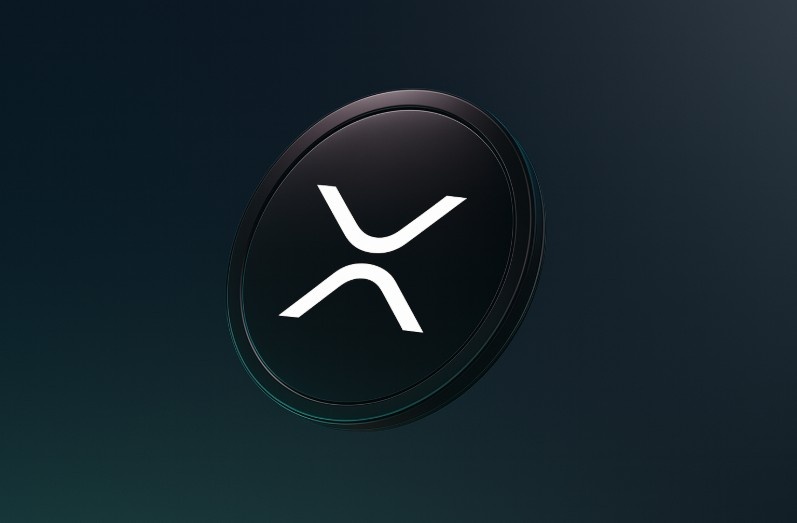 Ripple Kime Karşı? SEC mi, XRP Yatırımcıları mı? Şaşırtan Soru Gündemde!