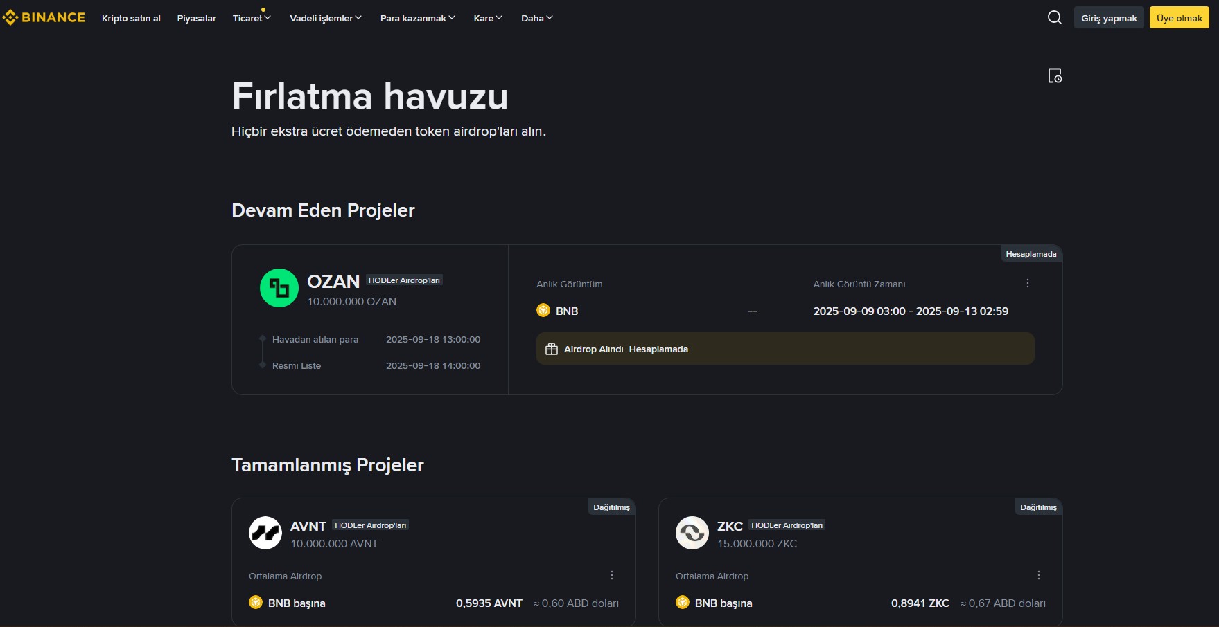 Piyasaya Yeni Girecek Coinler Nasıl Alınır? - Kapsamlı Rehber