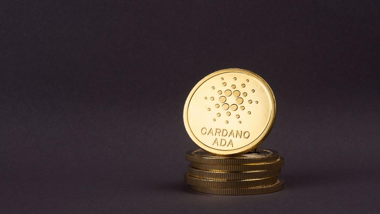 Китовете са натрупали стотици милиони в Cardano от март