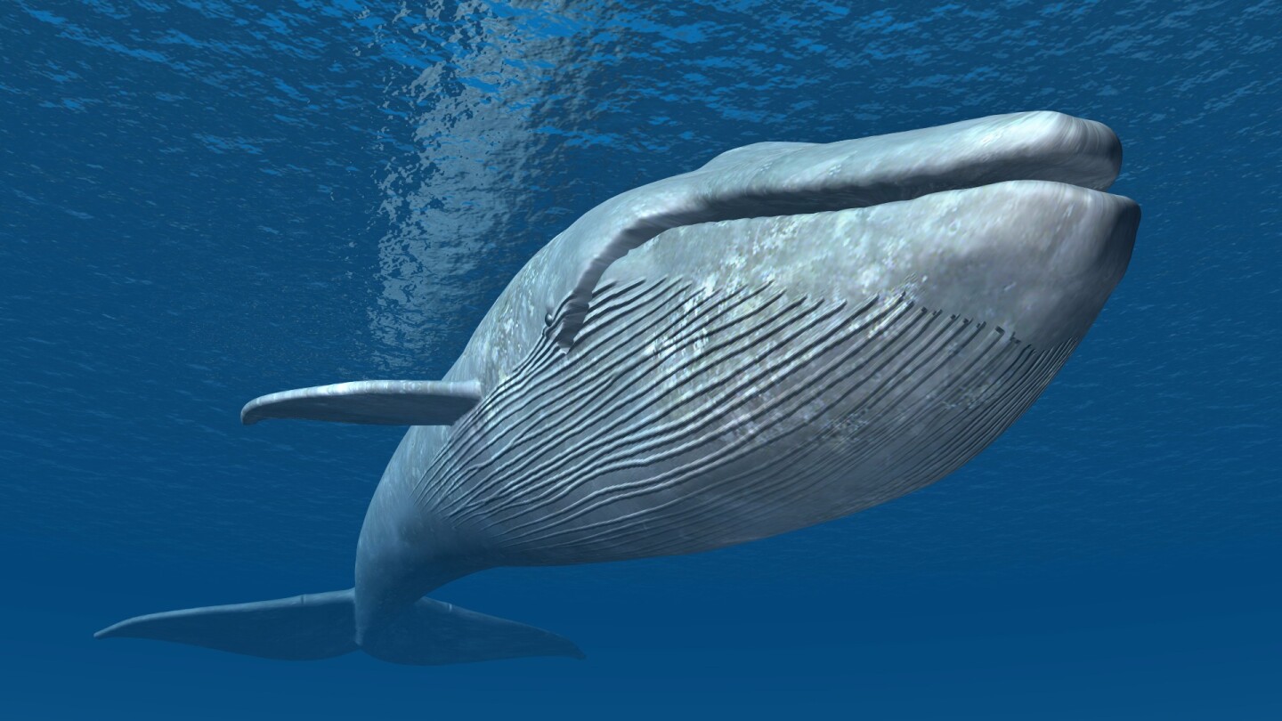 Крипто китовете се възползват от спада