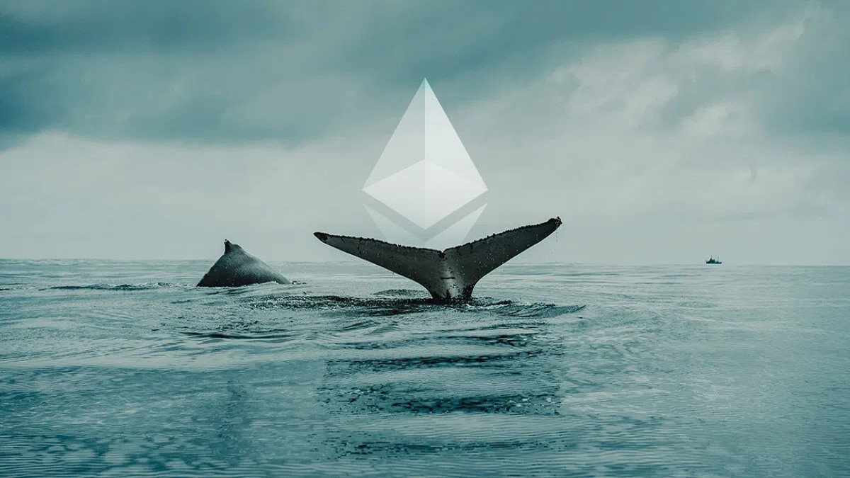 Ethereum (ETH) китовете купуват тези няколко алткойна