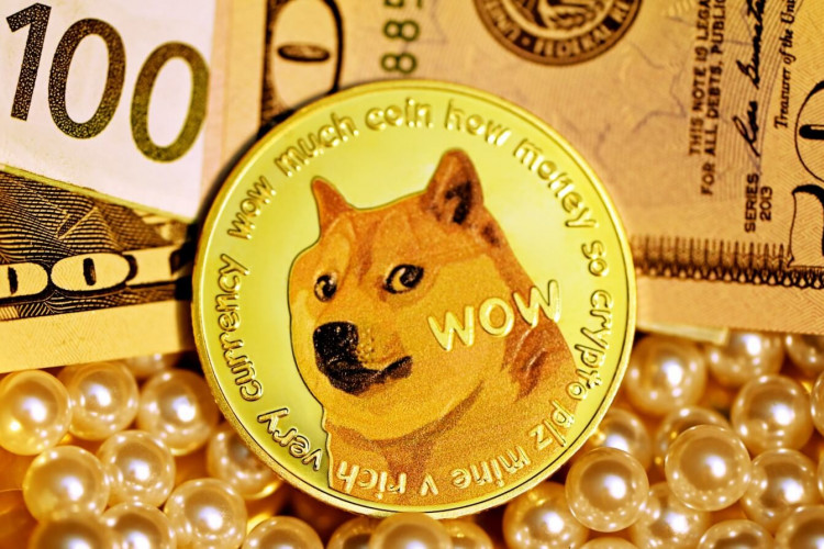 455 милиона сайта на WordPess вече могат да приемат Dogecoin (DOGE)