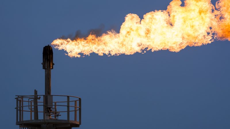 Саудитска Арабия и други участници на петролния пазар които залагат