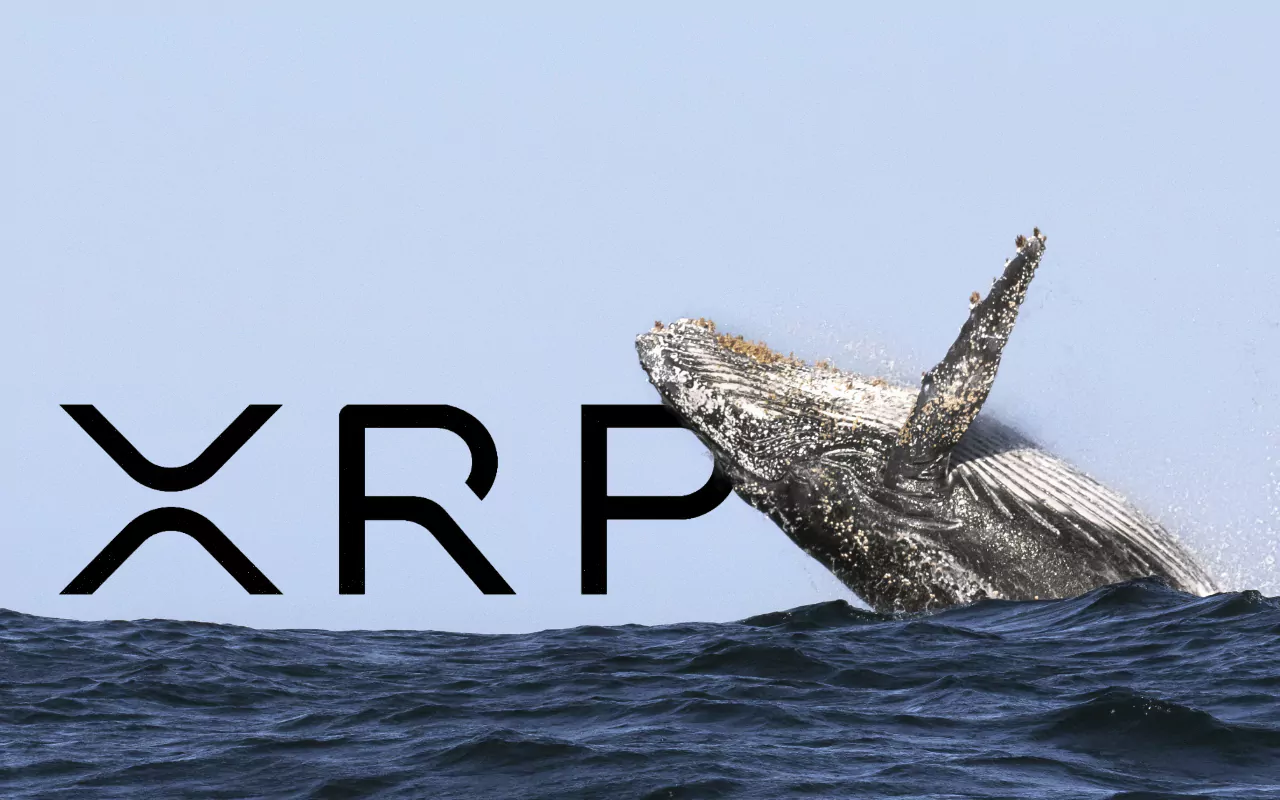 Неотдавна голяма сума XRP беше прехвърлена от голям притежател кит