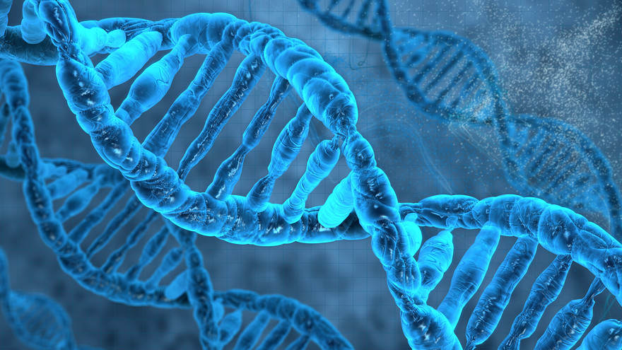 Частни Биткойн ключове в ДНК