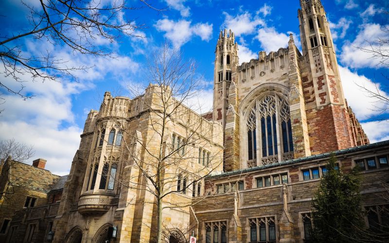 Дали инвестицията на университета Йейл в крипто ще докара повече институционални инвеститори?
