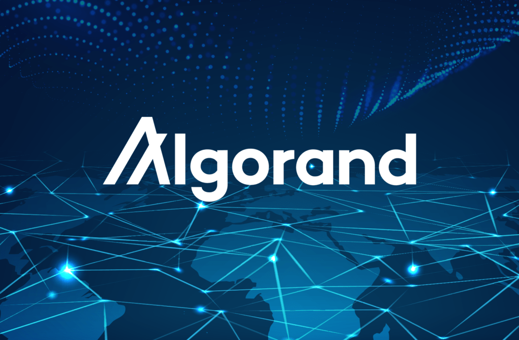 Почти всички притежатели на Algorand са на загуба – какво значи това?