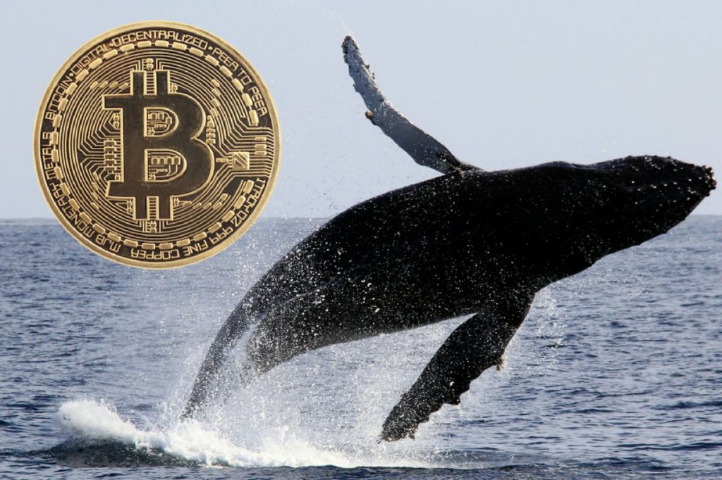 Биткойн китовете местят средства между Coinbase, Binance и Anon портфейли