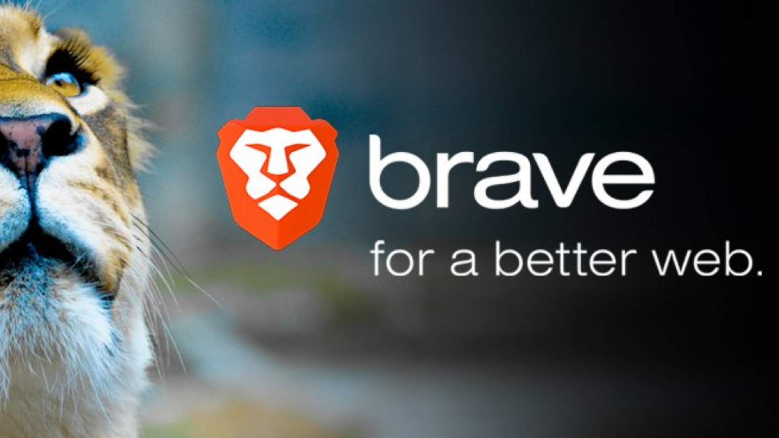 Brave браузър който се фокусира върху поверителността на потребителите въведе