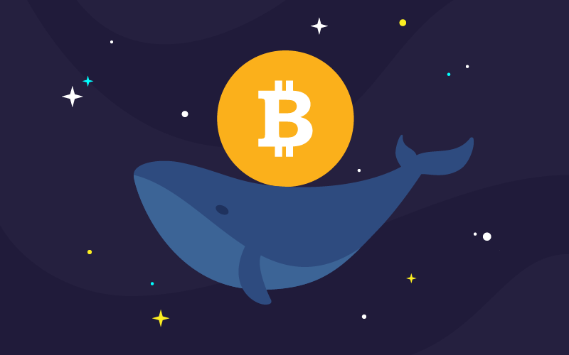 Square и PayPal може да са новите китове на крипто пазара