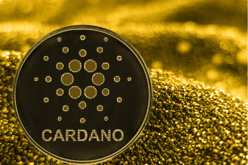Cardano бележи значителни печалби с наближаването на хард форка