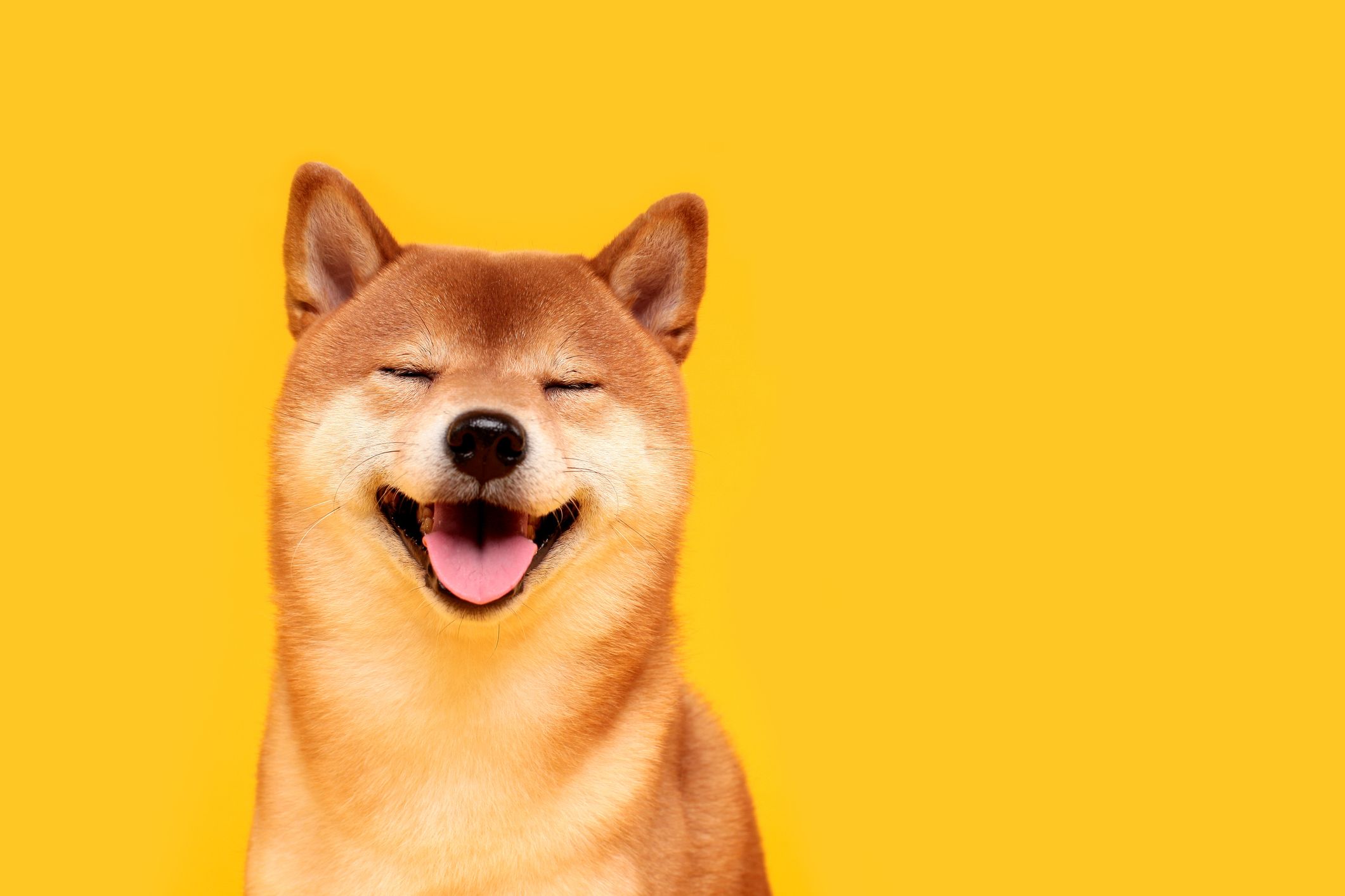 Трейдър рискува всичките си пари за да изкара $1 милион чрез Dogecoin (DOGE)
