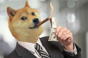 dogecoin (doge)
