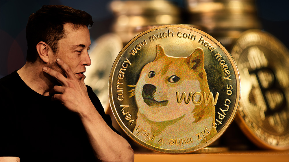 Илон Мъск ли е най-големият притежател на Dogecoin (DOGE)?