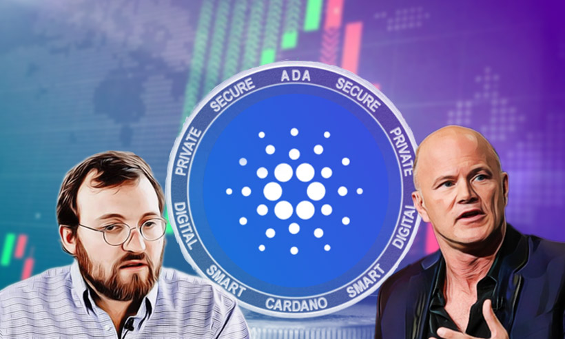 Основателят на Cardano влиза в конфронтация с Майк Новограц