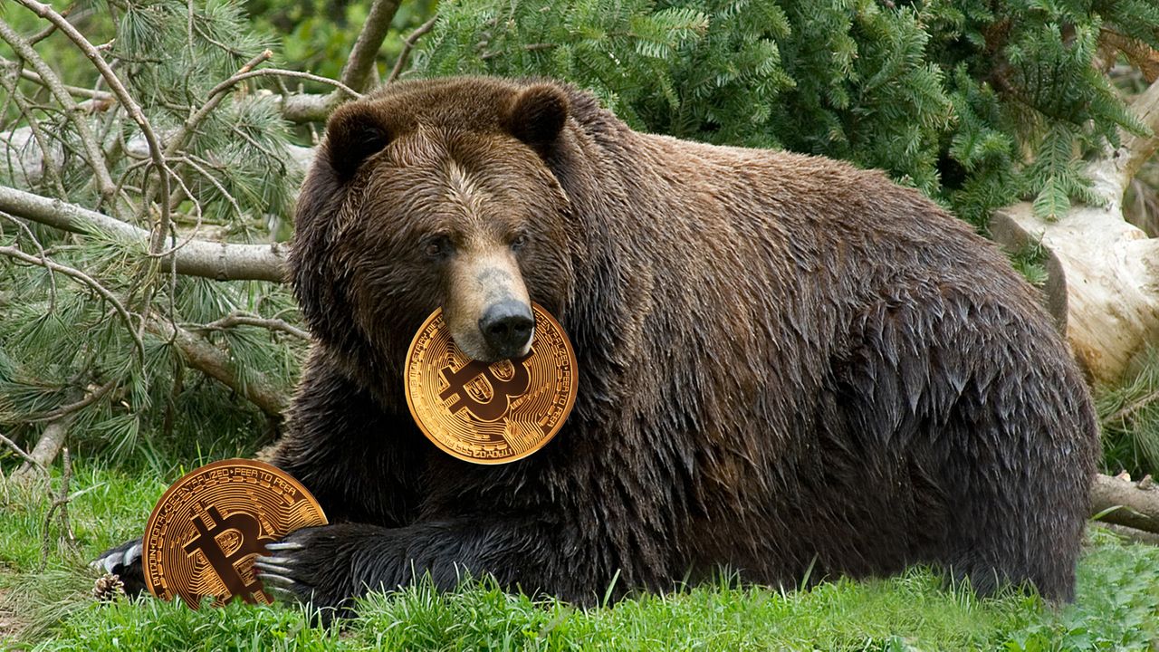 Над 62,000 ‘мечки’ бяха ликвидирани след 10% скок на Биткойн