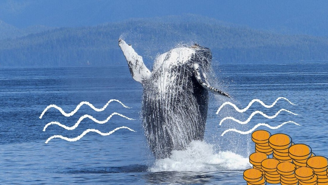 Биткойн кит премести близо половин милиард за скромната такса от 23 цента