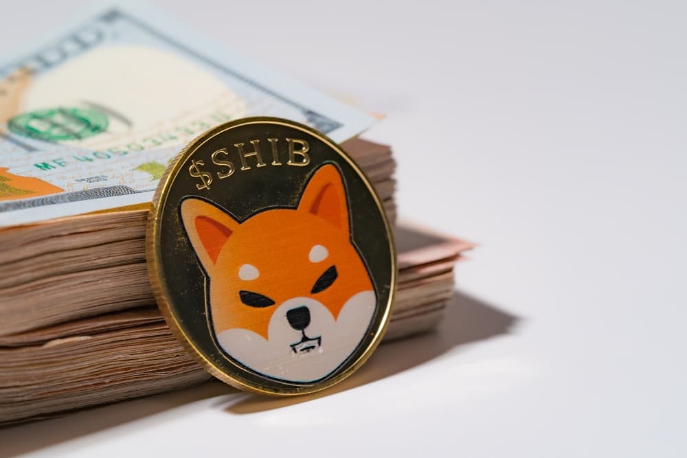 Нов Shiba Inu кит купува SHIB за $38 милиона