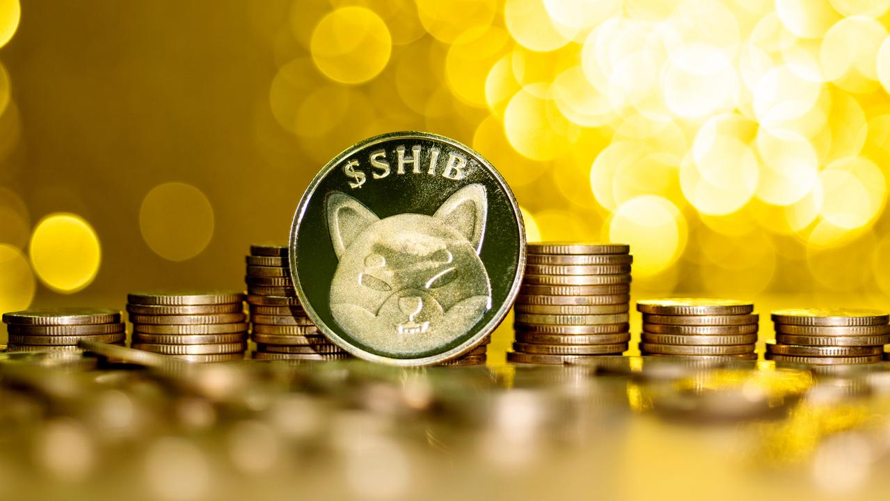 Шиба Ину SHIB е втората по големина меме монета на