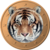 Tigercoin