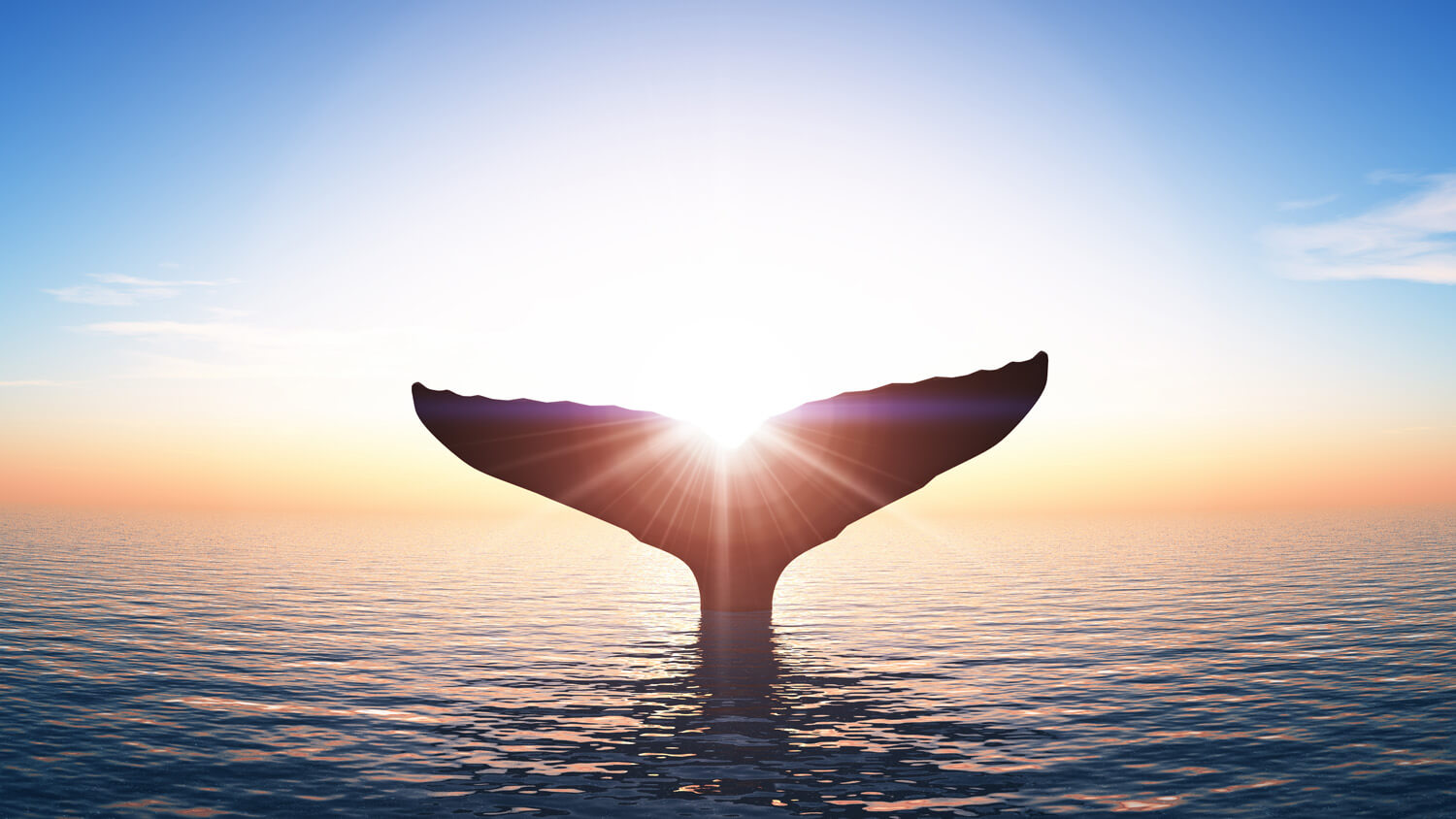 Колко Биткойн ви е нужен, за да се наречете кит?