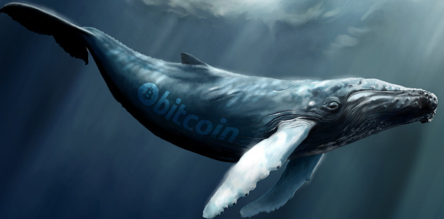 Биткойн кит прехвърли над $100 милиона в BTC