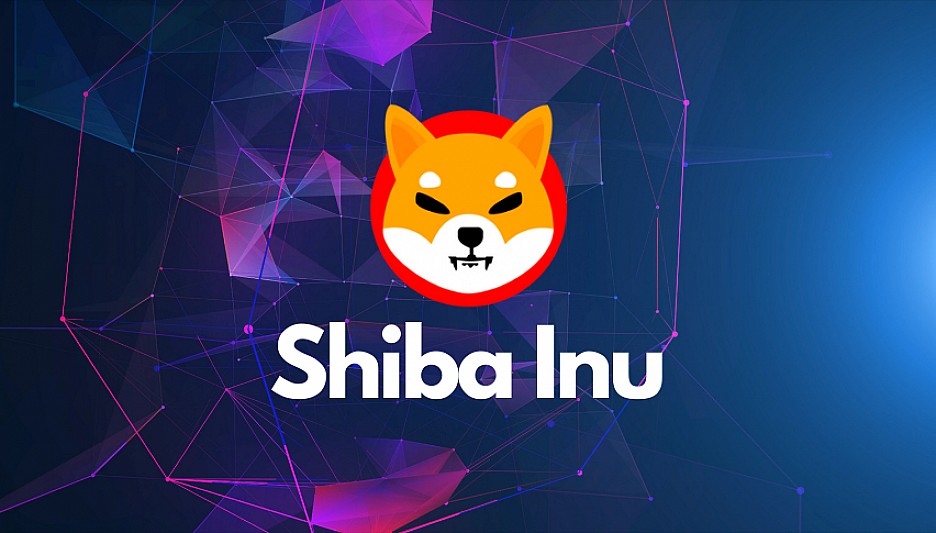 Shiba Inu SHIB се отличава с по висок дял на инвеститорите