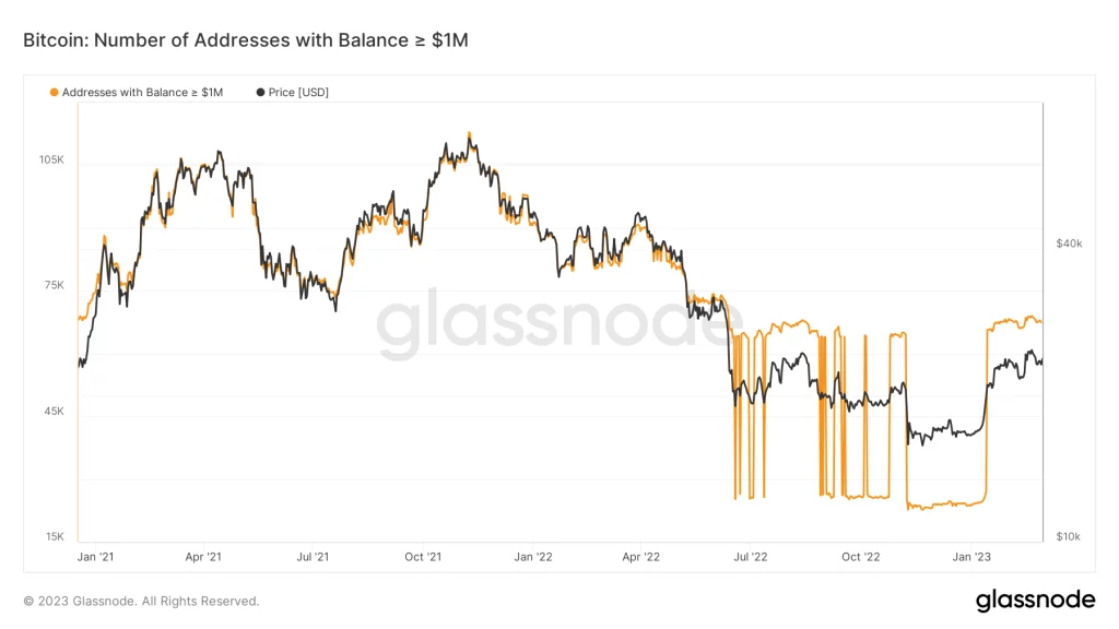 glassnode