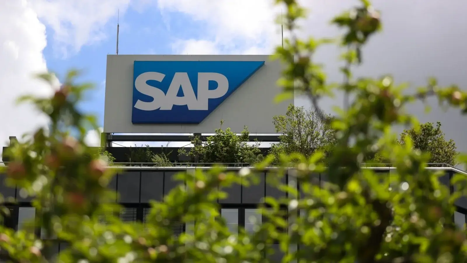 SAP, мултинационална софтуерна корпорация, базирана в Германия, въвежда нова инициатива,