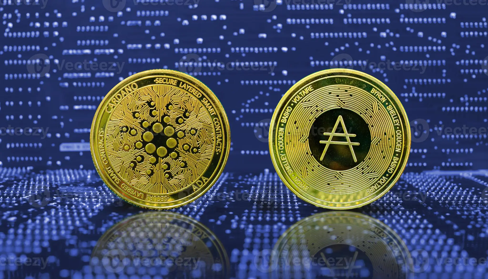 Защо Pushd (PUSHD) печели внимание по целия свят, докато Cardano (ADA) и Dogecoin (DOGE) са в застой