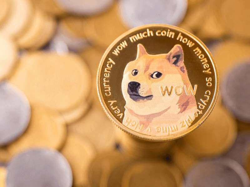 Инвеститор в Dogecoin който натрупа значителен портфейл DOGE за десетилетие