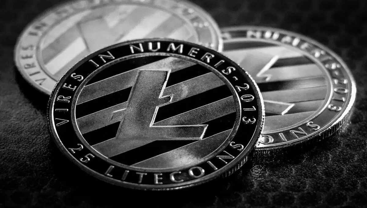 Litecoin is a more widely used payment cryptocurrency than Bitcoin