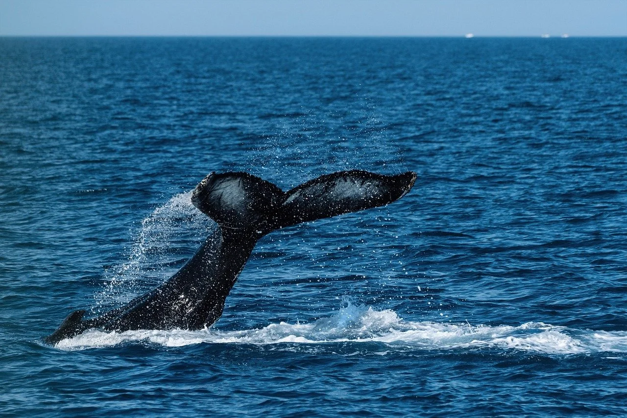 Цената на PEPE пада, крипто китовете продават токените си
